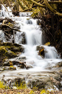 Scenic view of waterfall in forest