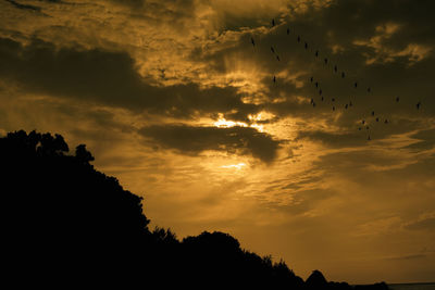 Low angle view of silhouette birds against sky