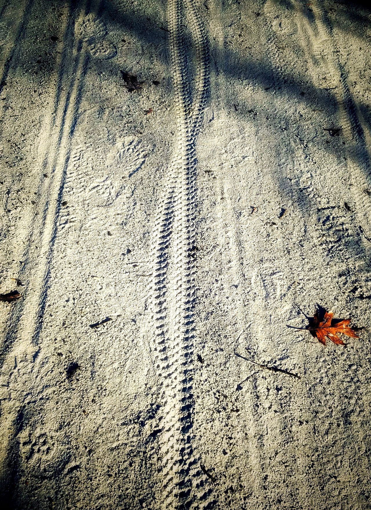 Bicycle tire tracks