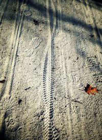 High angle view of insect on sand