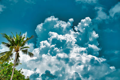 Low angle view of blue sky