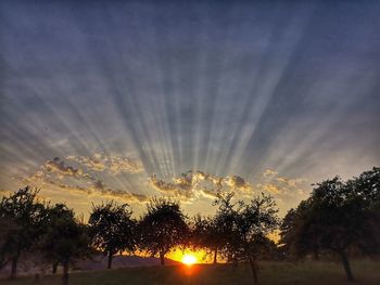 Silhouette trees against sky during sunset