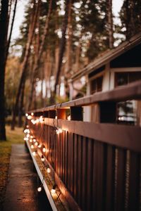 View of footbridge along trees