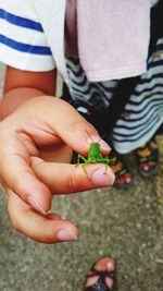 Low section of child holding grasshopper