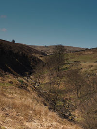 Scenic view of landscape against clear sky