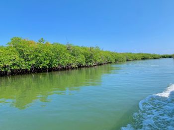 Scenic view of lake against clear blue sky