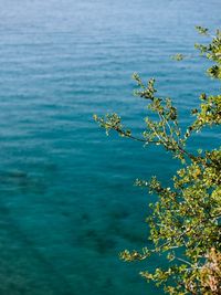 Scenic view of sea against blue sky