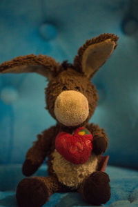 Close-up of stuffed toy