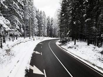 Road amidst trees during winter