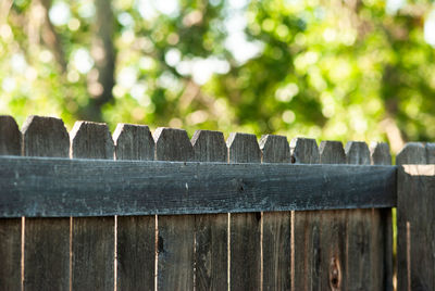 Close-up of fence against trees