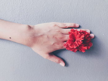 Cropped image of woman hand holding red flower against gray wall