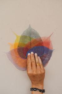 Person holding multi colored bodhi leaves  against white background