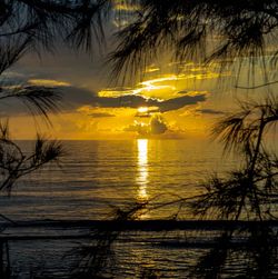 Scenic view of sea during sunset