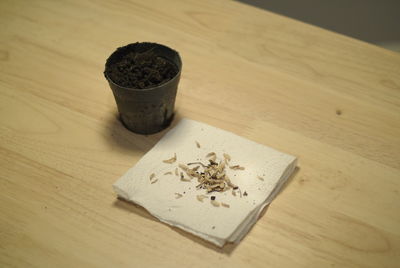 Close-up of kaffir lime seed on tissue paper by mud in pot at wooden table