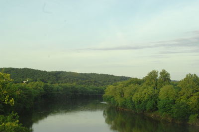 Scenic view of lake in forest against sky