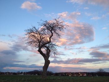 Bare trees on field against cloudy sky