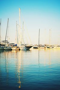 Sailboats moored in harbor against clear blue sky