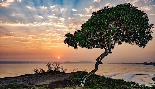 Scenic view of sunset over sea