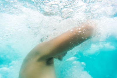 Close-up of woman swimming in pool