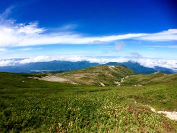 Scenic view of landscape against sky