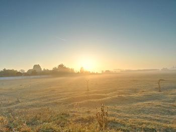 Scenic view of field against clear sky