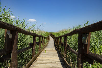 Wooden footbridge over the reeds lake