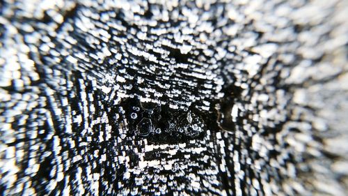 Full frame shot of leaf