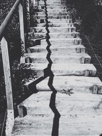 Staircase in building