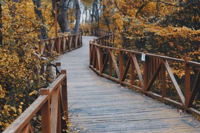 Footbridge amidst trees in forest during autumn