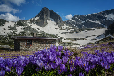 Scenic view of snow covered mountains against sky