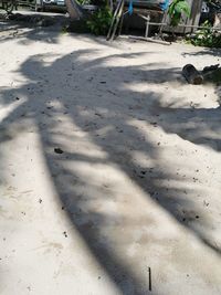 High angle view of footprints on sand