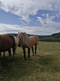 Horses grazing on field against sky