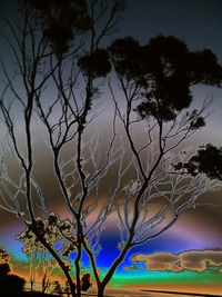 Bare trees against sky