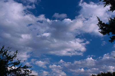 Low angle view of trees against cloudy sky