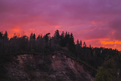 Scenic view of forest against sky at sunset