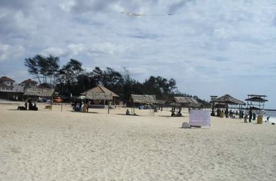 Trees on beach against cloudy sky