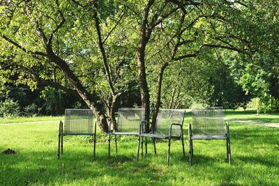 Trees and plants on field