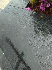 Reflection of flowers on puddle