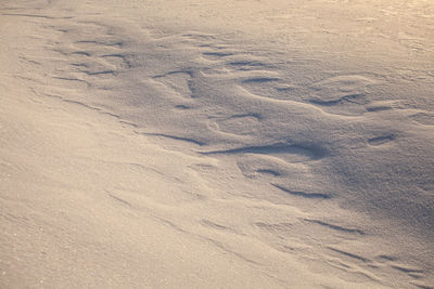 High angle view of footprints on sand at beach