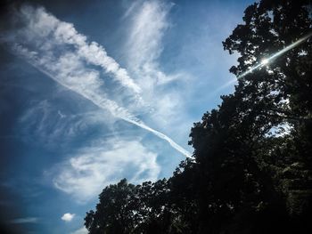 Low angle view of silhouette trees against blue sky