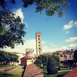 Trees in city against sky