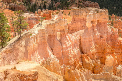 Hoodoo formation at bryce canyon national park, utah