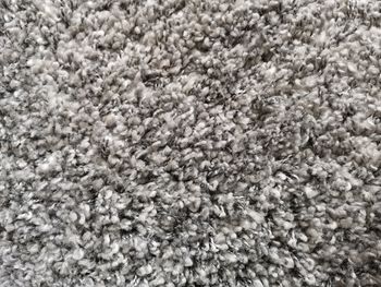 Full frame shot of rug