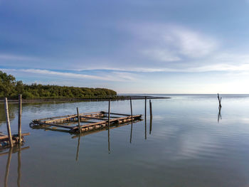 Wooden posts in lake against sky