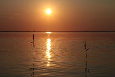 Scenic view of sea against orange sky