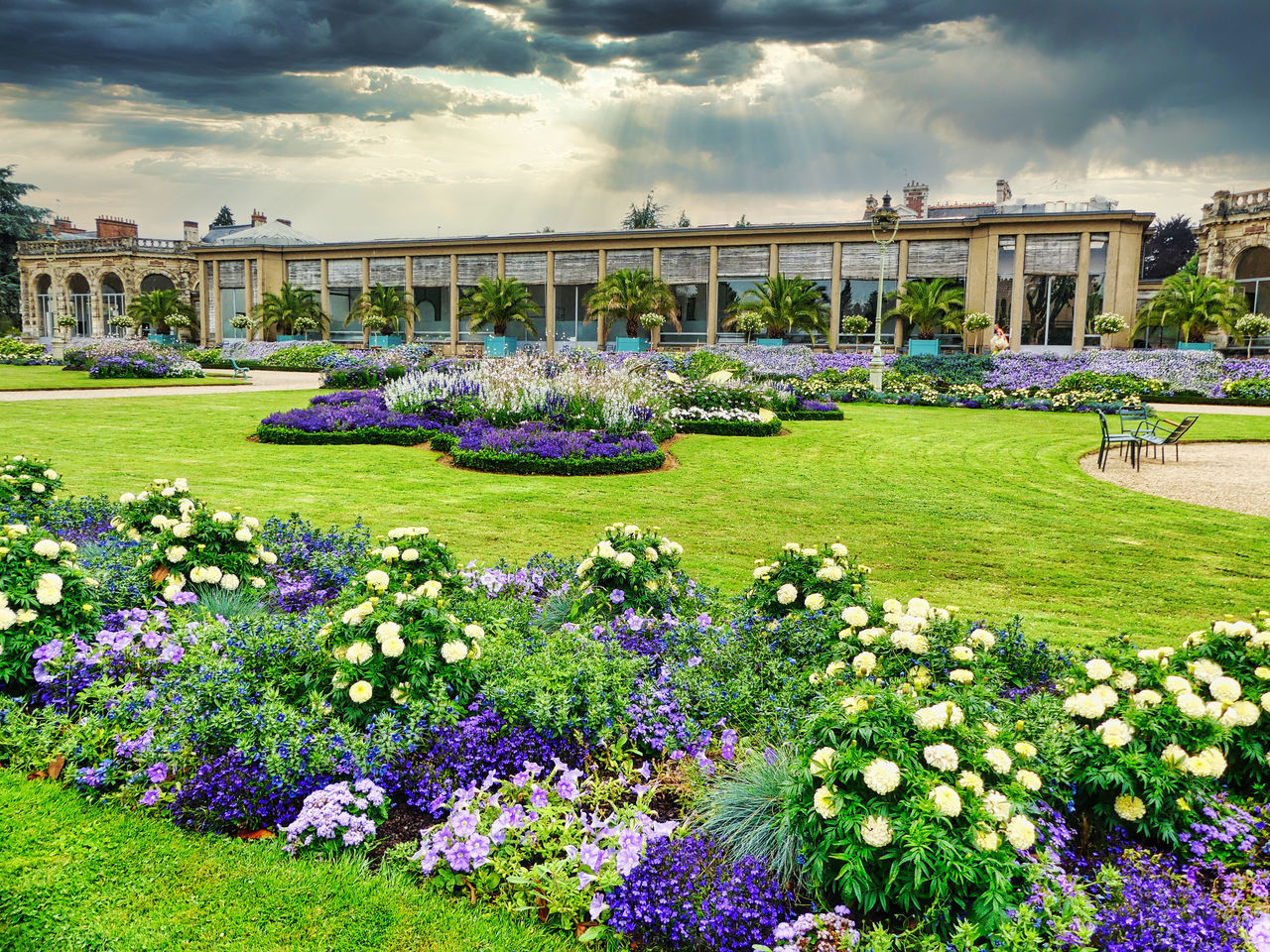 VIEW OF FLOWERING PLANTS IN PARK AGAINST BUILDINGS