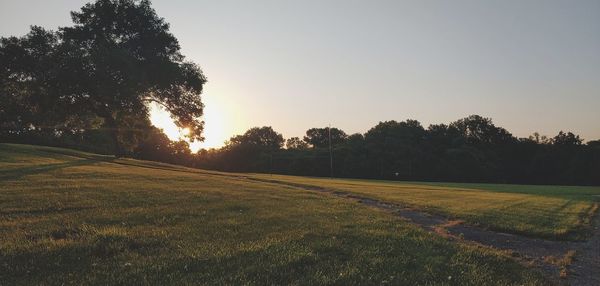 Scenic view of field against clear sky during sunset