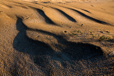 High angle view of shadow on sand