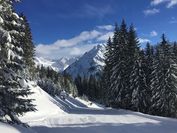 Snow covered trees and mountains against sky