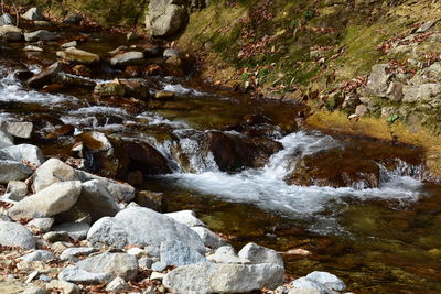 Stream flowing through rocks in forest